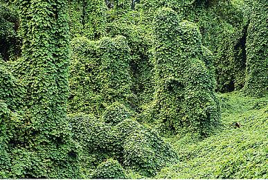 生存建造游戏《漂泊牧歌》 将于 9月15日开启抢先体验